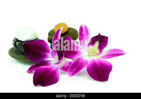 Zen Steinen und Orchidee auf dem weißen Hintergrund Stockfoto