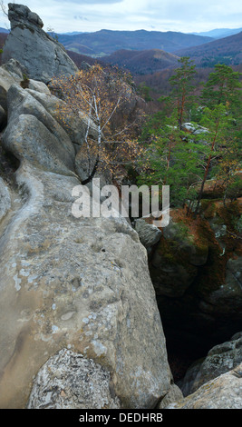 Großen hohen Steinen im herbstlichen Wald ("Skeli Dovbusha", Ivano-Frankovsk Region, Ukraine) Stockfoto