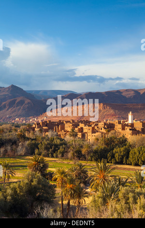 Tinghir Kasbahs und Palmery, Tinghir, Todra-Tal, Marokko, Nordafrika, Afrika Stockfoto