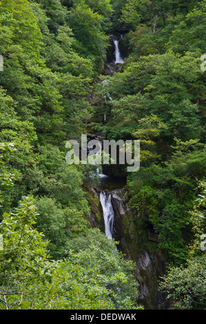 Wasserfall aus dem Naturlehrpfad auf dem Fußweg die Jakobsleiter unter Teufelsbrücke in der Nähe von Aberystwyth Ceredigion West Wales UK betrachtet Stockfoto