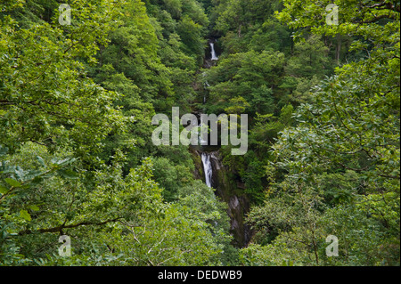 Wasserfall aus dem Naturlehrpfad auf dem Fußweg die Jakobsleiter unter Teufelsbrücke in der Nähe von Aberystwyth Ceredigion West Wales UK betrachtet Stockfoto