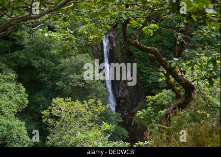 Wasserfall aus dem Naturlehrpfad auf dem Fußweg die Jakobsleiter unter Teufelsbrücke in der Nähe von Aberystwyth Ceredigion West Wales UK betrachtet Stockfoto