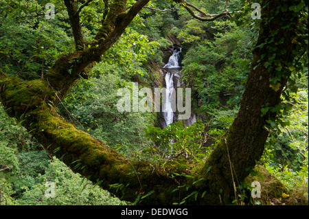 Wasserfall aus dem Naturlehrpfad auf dem Fußweg die Jakobsleiter unter Teufelsbrücke in der Nähe von Aberystwyth Ceredigion West Wales UK betrachtet Stockfoto