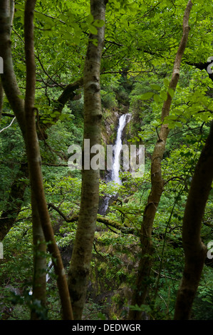 Wasserfall aus dem Naturlehrpfad auf dem Fußweg die Jakobsleiter unter Teufelsbrücke in der Nähe von Aberystwyth Ceredigion West Wales UK betrachtet Stockfoto