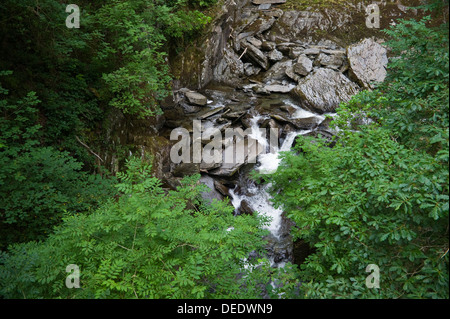 Rheidol Schlucht betrachtet aus dem Naturlehrpfad auf dem Fußweg die Jakobsleiter unter Teufelsbrücke in der Nähe von Aberystwyth Ceredigion West Wales UK Stockfoto