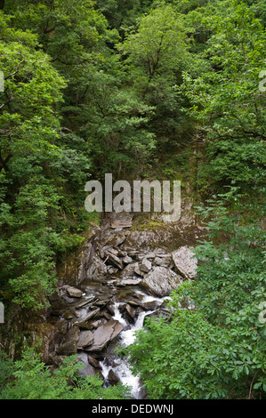 Rheidol Schlucht betrachtet aus dem Naturlehrpfad auf dem Fußweg die Jakobsleiter unter Teufelsbrücke in der Nähe von Aberystwyth Ceredigion West Wales UK Stockfoto