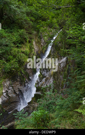 Wasserfall aus dem Naturlehrpfad auf dem Fußweg die Jakobsleiter unter Teufelsbrücke in der Nähe von Aberystwyth Ceredigion West Wales UK betrachtet Stockfoto