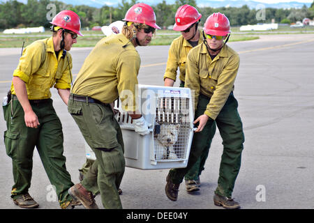 Mitglieder der National Forest Service Hilfe entladen Haustiere bei Evakuierungen nach schweren Überschwemmungen 16. September 2013 in Boulder, Colorado. Stockfoto