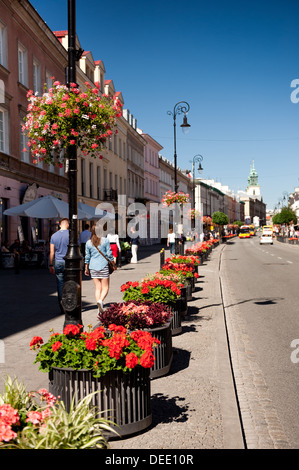 Blumen wachsen entlang der Straße Nowy Świat in Warschau Stockfoto