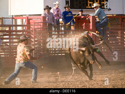 Bryce Rodeo, Bryce, Utah, Vereinigte Staaten von Amerika, Nordamerika Stockfoto