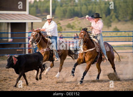 Bryce Rodeo, Bryce, Utah, Vereinigte Staaten von Amerika, Nordamerika Stockfoto