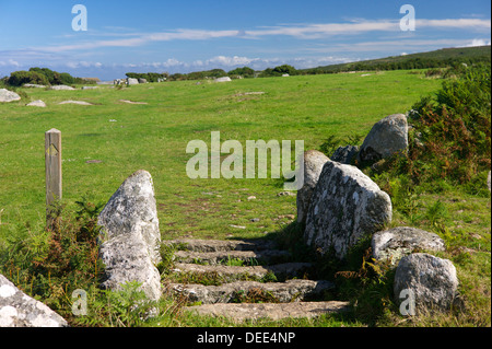 Eine alte steinerne Rinder-Raster auf einem Wanderweg in der Nähe von St. Ives, Cornwall, UK Stockfoto