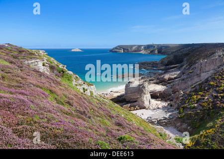 Blick entlang der Klippen des Cap Frehel bis zum Leuchtturm, Côtes d ' Armor, Bretagne, Frankreich Stockfoto