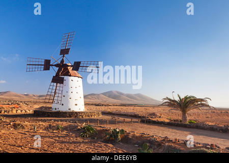 Windmühle, El Cotillo, Fuerteventura, Kanarische Inseln, Spanien, Atlantik, Europa Stockfoto