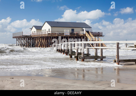 Stelzenläufer beherbergt in der stürmischen See, Sankt Peter-Ording, Halbinsel Eiderstedt, Schleswig Holstein, Deutschland, Europa Stockfoto