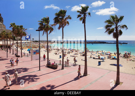 Playa de Los Amadores, Gran Canaria, Kanarische Inseln, Spanien, Atlantik, Europa Stockfoto