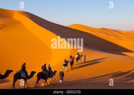 Touristen auf Kamelsafari, Sahara Wüste, Merzouga, Marokko, Nordafrika, Afrika Stockfoto