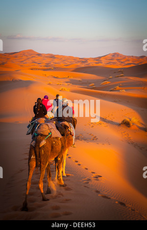 Touristen auf Kamelsafari, Sahara Wüste, Merzouga, Marokko, Nordafrika, Afrika Stockfoto