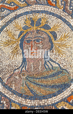 Mosaik Detail aus dem Haus des Dionysos, Volubilis, UNESCO World Heritage Site, Marokko, Nordafrika, Afrika Stockfoto