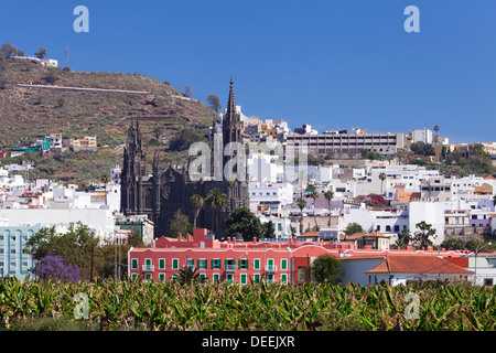 Kathedrale Iglesia de San Juan de Bautista, Arucas, Gran Canaria, Kanarische Inseln, Spanien, Atlantik, Europa Stockfoto