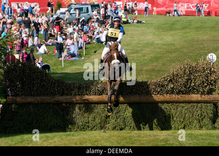 Pferd und Reiter am Blenheim horse trials Stockfoto