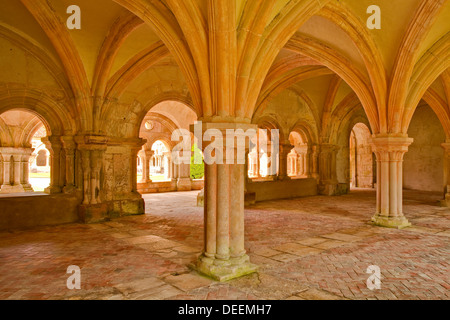 Der Kapitelsaal von Fontenay Abbey, UNESCO-Weltkulturerbe, Cote d ' or, Burgund, Frankreich Stockfoto