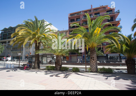 Boulevard Risso Nizza Cote d ' Azur Alpen Alpes Frankreich Europa Stockfoto