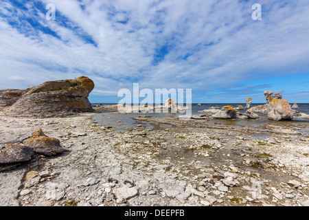 Felsige Küste mit Kalksteinfelsen (Raukar). Fårö Insel Gotland, Schwedens. Stockfoto