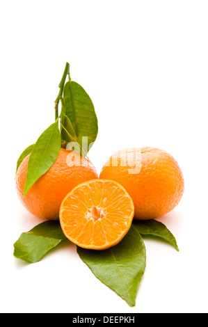 frische Bio-Mandarinen auf grüne Blätter auf einem weißen Hintergrund isoliert Stockfoto