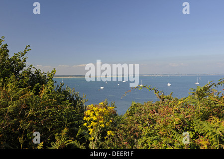 Blick über Studland Bay Isle of Purbeck in Richtung Poole und Bournemouth-Dorset-England Stockfoto