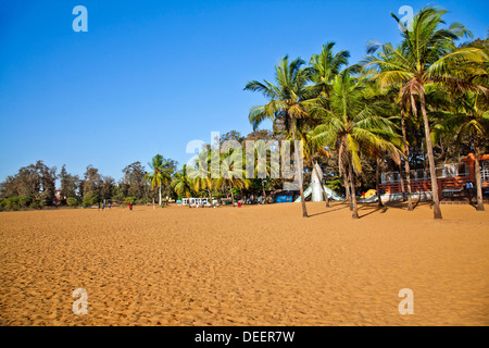 Palmen am Strand, Miramar Beach, North Goa, Panaji, Goa, Indien Stockfoto