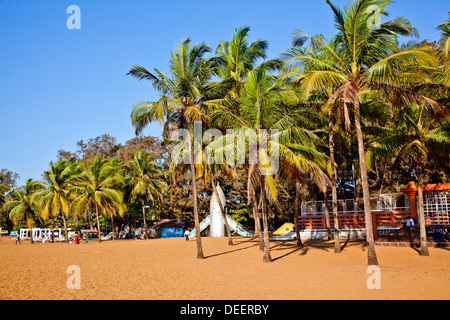 Palmen am Strand, Miramar Beach, North Goa, Panaji, Goa, Indien Stockfoto