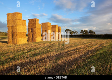 Goldene Strohballen am Abend Sonnenlicht in einem Stoppelfeld bei bewölktem Himmel blau im Spätsommer Stockfoto