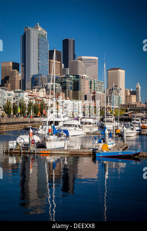 Gebäude der Innenstadt von Seattle ragen Bell Harbor Marina auf dem Puget Sound, Seattle, Washington, USA Stockfoto