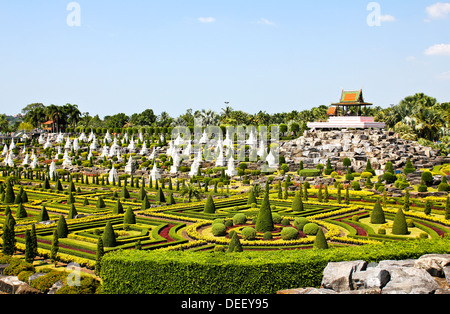 Der tropische Garten in Pattaya, Thailand. Stockfoto