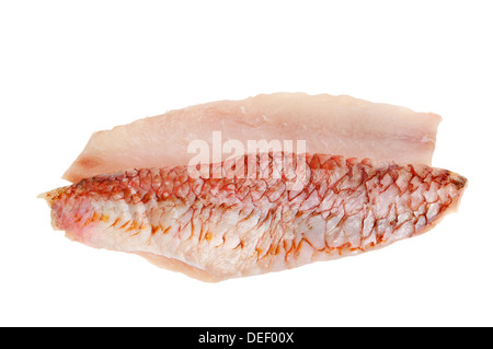 Rohe rote Meerbarbe Fischfilets isoliert gegen weiß Stockfoto