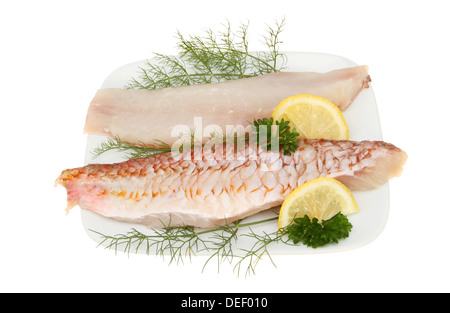 Rohe rote Meerbarbe Fischfilets auf einer Platte mit einer Garnierung von Petersilie, Fenchel und Zitrone auf einem Teller isoliert gegen weiß Stockfoto