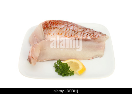 Frische rohe rote Meerbarbe Fischfilets auf einer Platte mit einer Garnierung von Petersilie und Zitronensaft isoliert gegen weiß Stockfoto