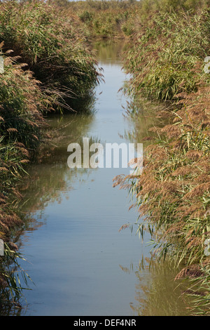 Ein Rasen gesäumt Creek im Süden Frankreichs Stockfoto