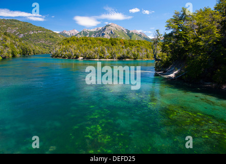 Kristallklares Wasser in den Nationalpark Los Alerces, Chubut, Patagonien, Argentinien, Südamerika Stockfoto