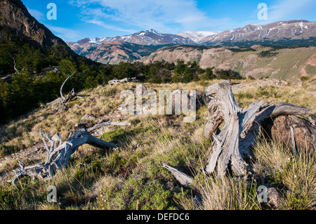 Trekking bis Mount Fitzroy von der Unesco World Heritage Anblick El Chalten, Argentinien, Südamerika Stockfoto