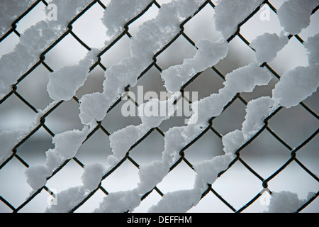 Schnee auf ein Maschendrahtzaun Stockfoto