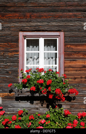 Fenster mit Geranien auf einem alten Holzhaus, Klebas, Lesachtal, Bezirk Hermagor, Kärnten, Österreich Stockfoto