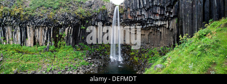 Wasserfall Svartifoss, Skaftafell-Nationalpark, Island, Polarregionen Stockfoto