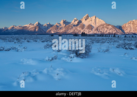 Die Teton Range an der ersten Ampel nach Neuschnee, Grand-Teton-Nationalpark, Wyoming, Vereinigte Staaten von Amerika, Nordamerika Stockfoto