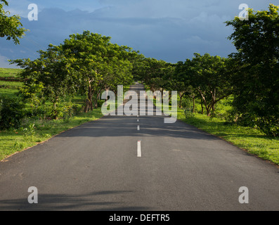 Lange gerade indische von Bäumen gesäumten Straße im Abendlicht. Andhra Pradesh, Indien. Stockfoto