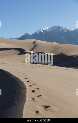 Sanddünen in der Great Sand Dunes National Park and Preserve, Sangre Cristo Mountains im Hintergrund, Colorado, USA Stockfoto