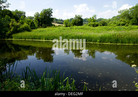 Fluss Avon, Avoncliff, Bradofrd on Avon, Wiltshire. Stockfoto