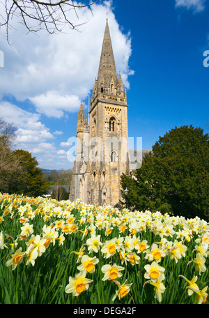 Llandaff Cathedral, Llandaff, Cardiff, Wales, Vereinigtes Königreich, Europa Stockfoto