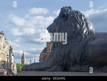 Eines der bronzenen Löwen-Statuen am Fuße des Nelsons Säule, Trafalgar Square, Central London, England, UK Stockfoto